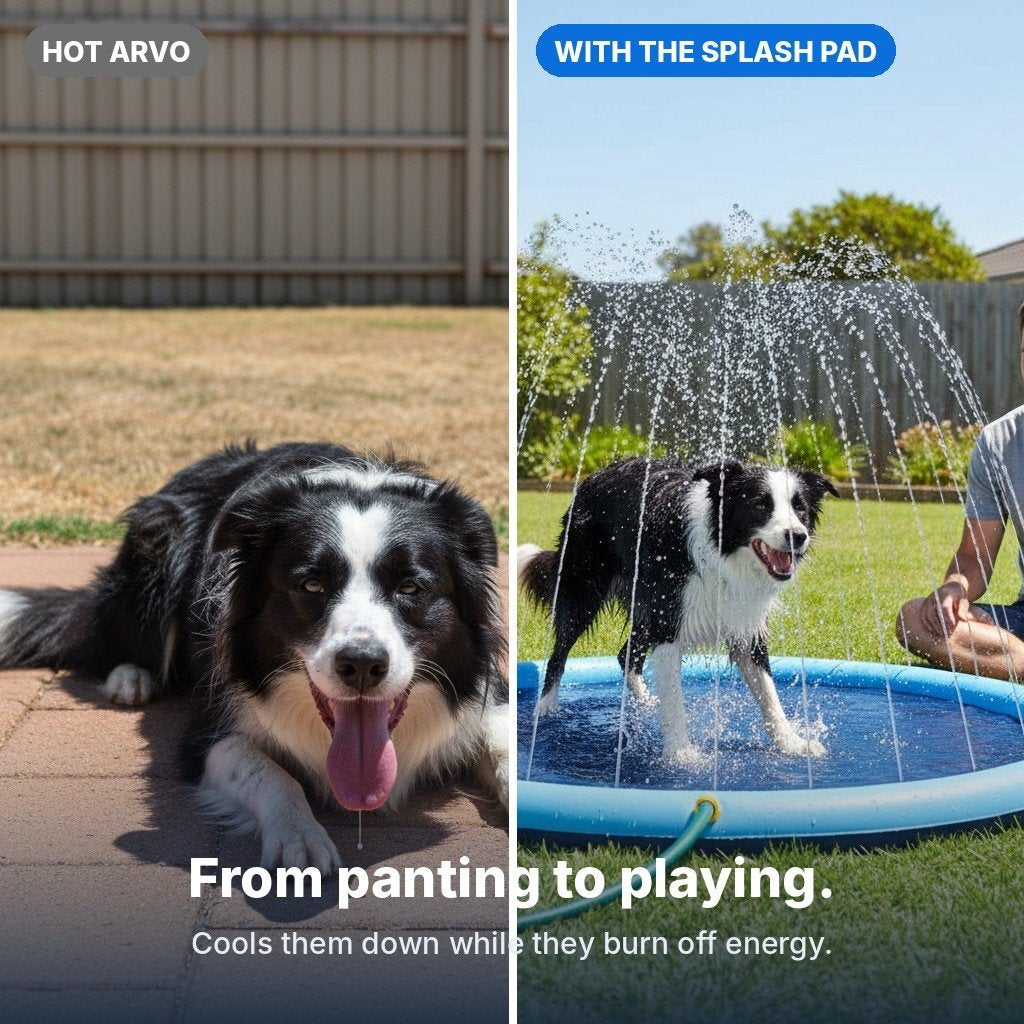 Panting dog vs dog playing on the pad