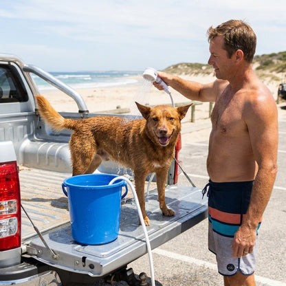 Washing a sandy kelpie on the ute