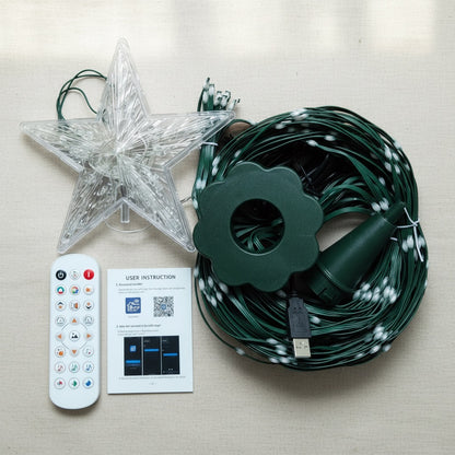 Everything in the box: star with light strands, remote and USB plug